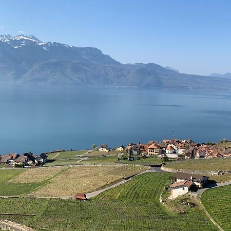 Апартаменты La Gremillette Gourmande Lavaux Rivaz Экстерьер фото