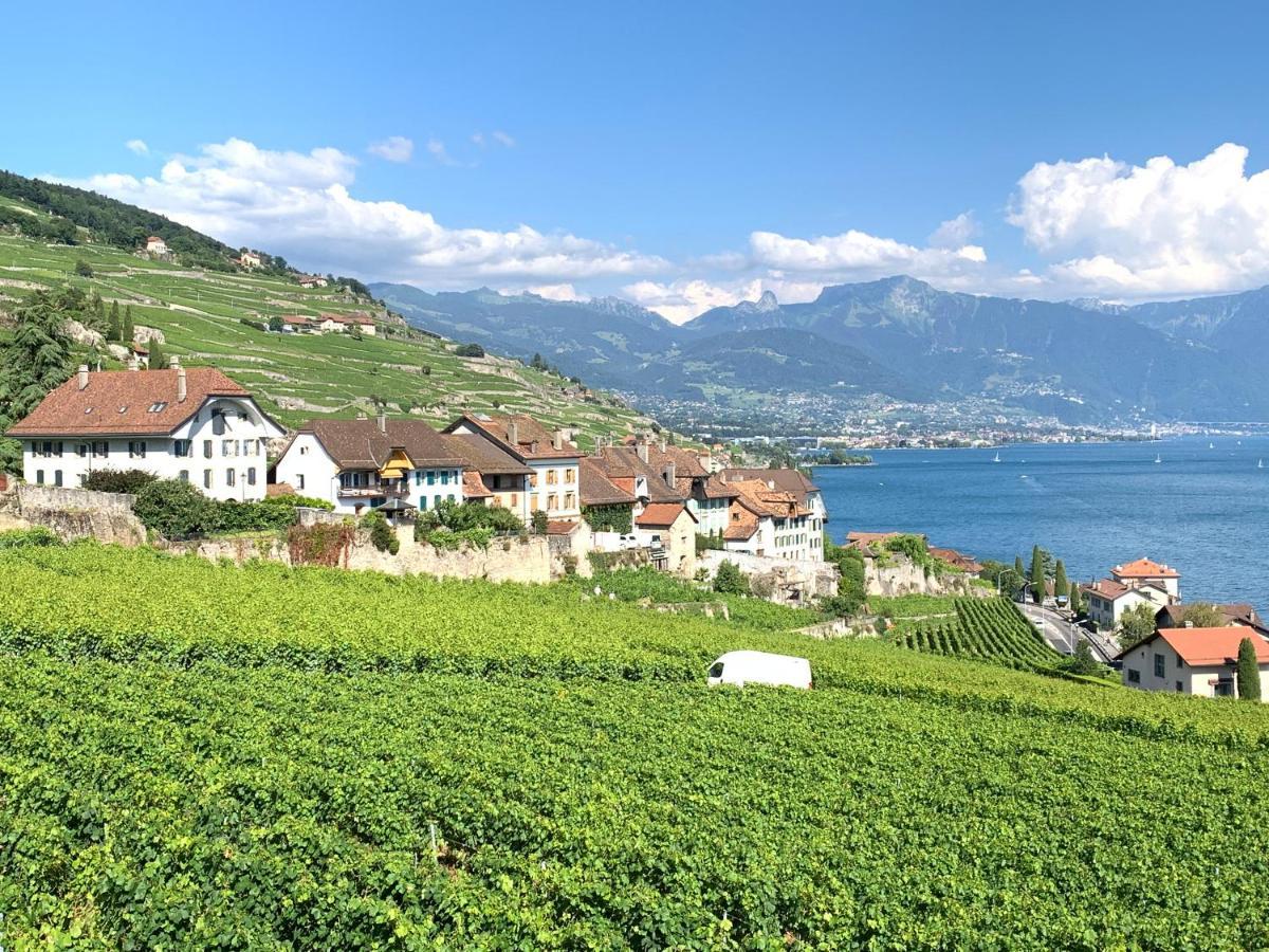 Апартаменты La Gremillette Gourmande Lavaux Rivaz Экстерьер фото