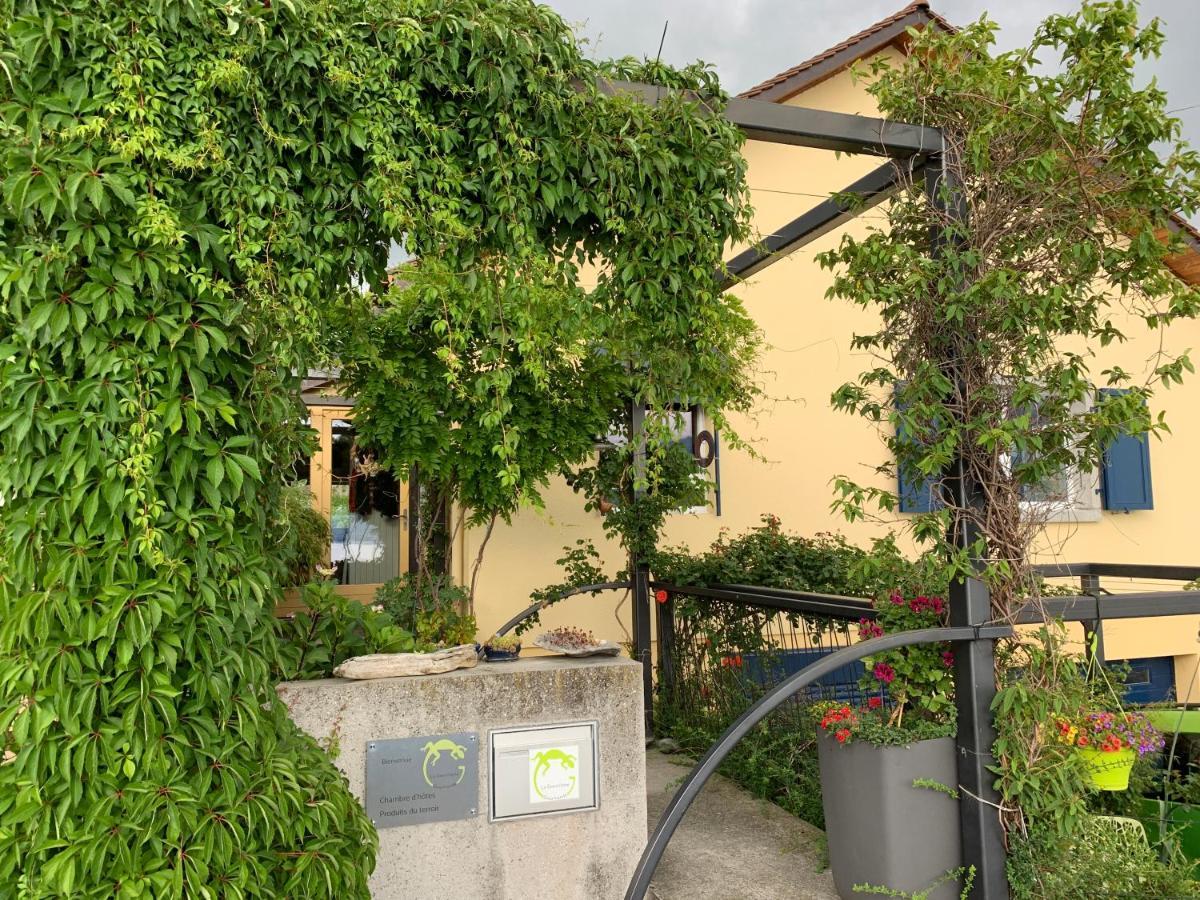 Апартаменты La Gremillette Gourmande Lavaux Rivaz Экстерьер фото