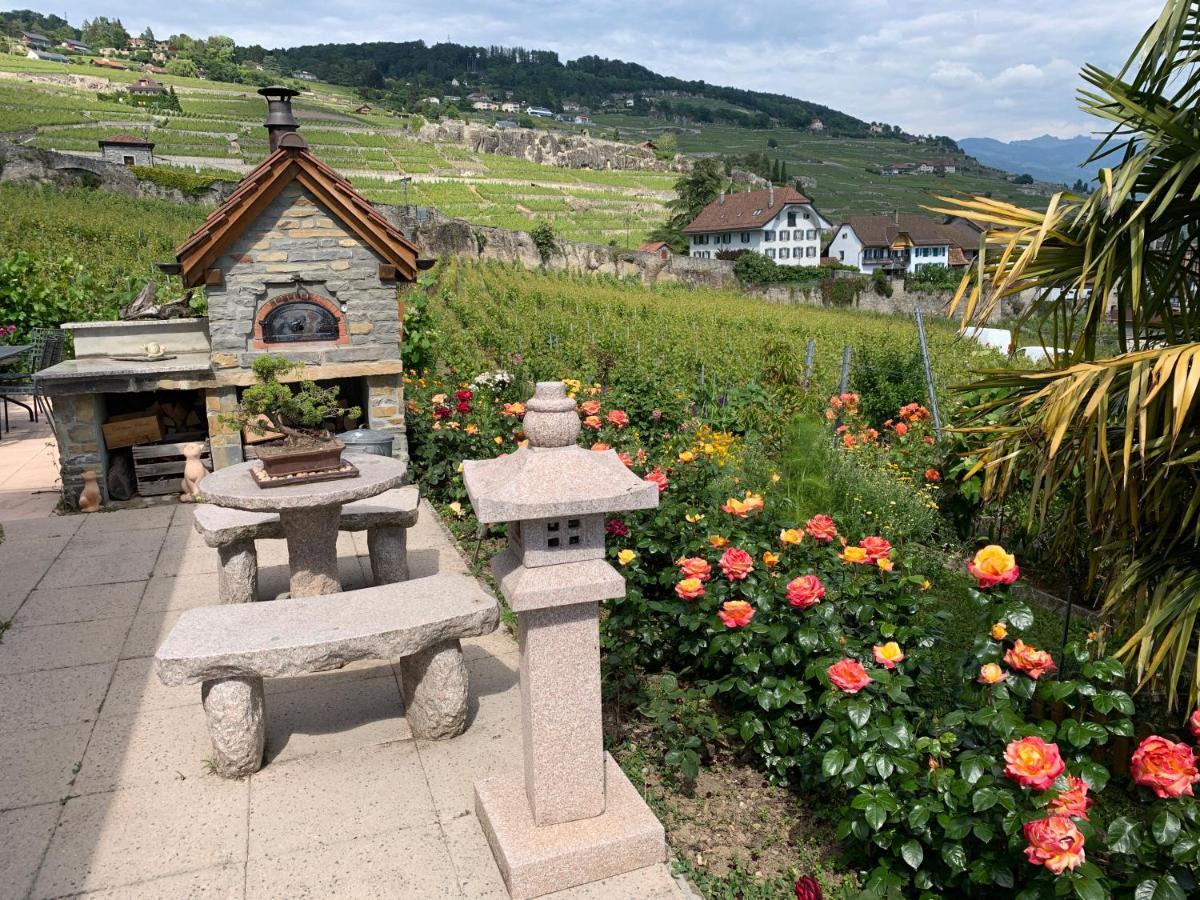 Апартаменты La Gremillette Gourmande Lavaux Rivaz Экстерьер фото
