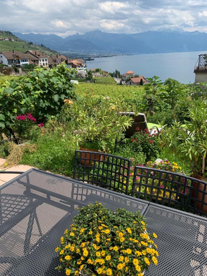 Апартаменты La Gremillette Gourmande Lavaux Rivaz Экстерьер фото