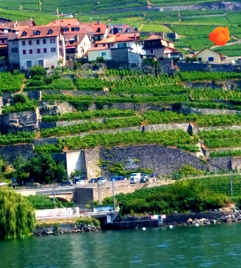 Апартаменты La Gremillette Gourmande Lavaux Rivaz Экстерьер фото