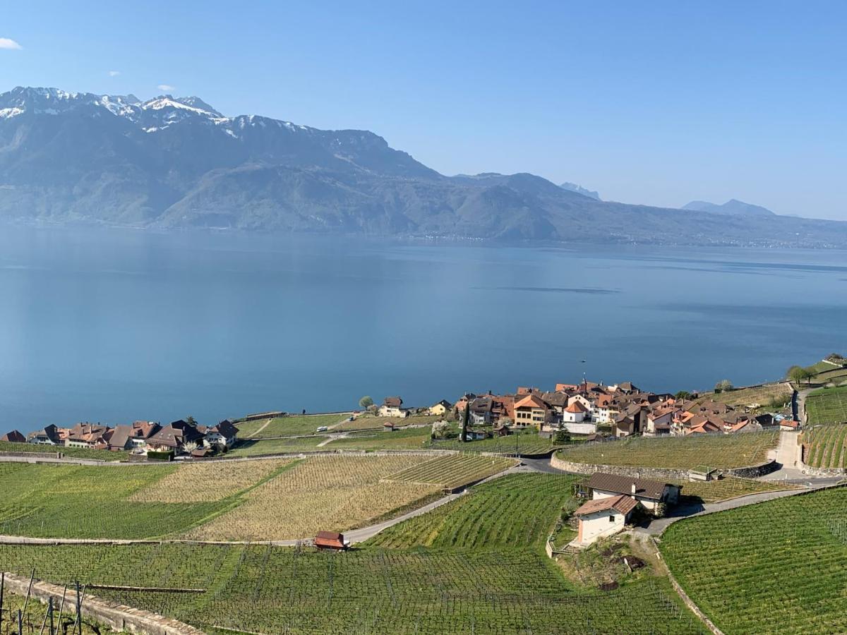 Апартаменты La Gremillette Gourmande Lavaux Rivaz Экстерьер фото