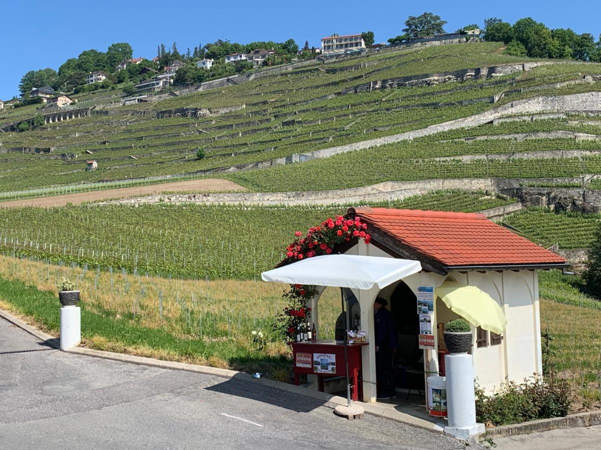 Апартаменты La Gremillette Gourmande Lavaux Rivaz Экстерьер фото