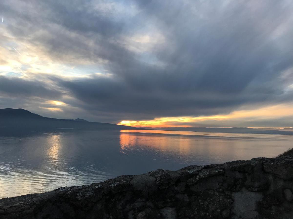 Апартаменты La Gremillette Gourmande Lavaux Rivaz Экстерьер фото
