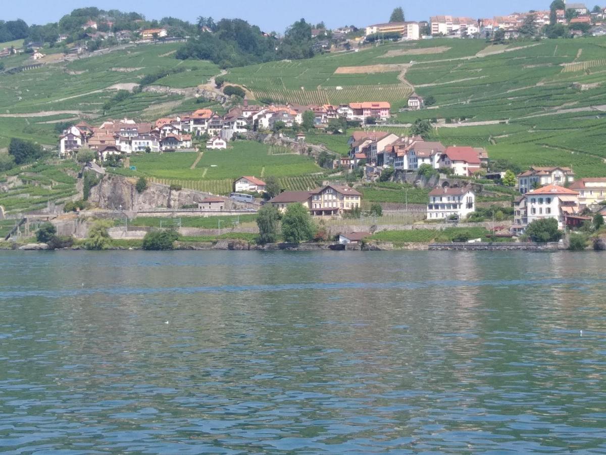 Апартаменты La Gremillette Gourmande Lavaux Rivaz Экстерьер фото
