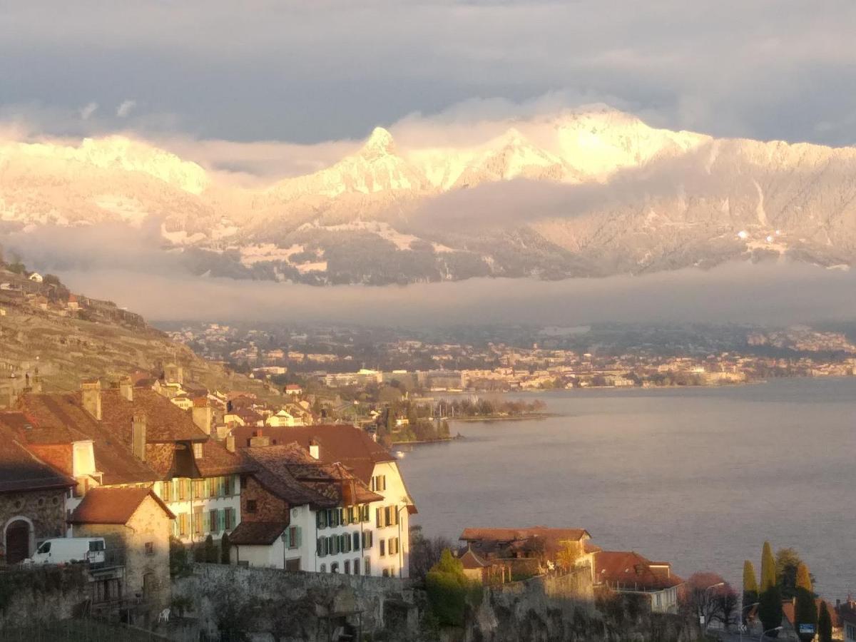 Апартаменты La Gremillette Gourmande Lavaux Rivaz Экстерьер фото